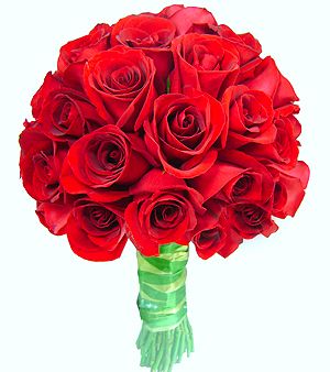 Rosas Vermelhas Importadas